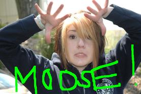 Kari Moose